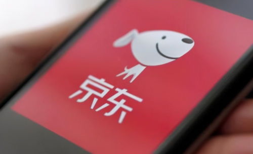 京東關(guān)聯(lián)企業(yè)布局?jǐn)?shù)字科技新領(lǐng)域，動(dòng)漫動(dòng)畫(huà)設(shè)計(jì)及數(shù)據(jù)處理成新增長(zhǎng)點(diǎn)